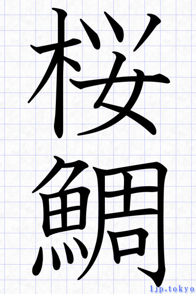桜鯛 の漢字書き方 習字 桜鯛レタリング
